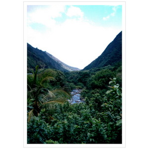 Maui Rainforest I - Metallic Paper