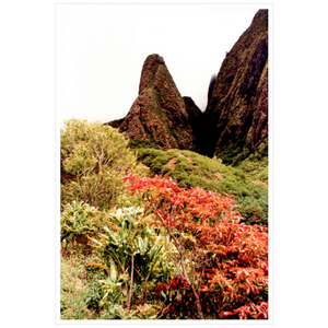 Iao Needle - Archival Canvas Paper