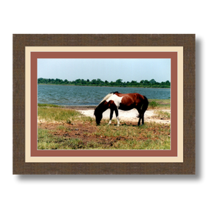 Assateague - Framed - Satin Luster Paper