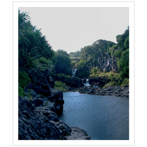 Maui Rainforest III - Metallic Paper