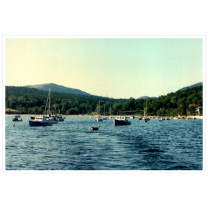 Sailing Seal Harbor - Premium Giclee Paper