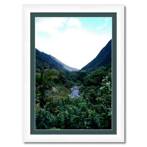 Maui Rainforest I - Framed - Metallic Paper