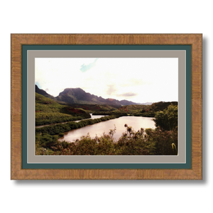 Allerton Garden II - Framed - Archival Canvas Paper