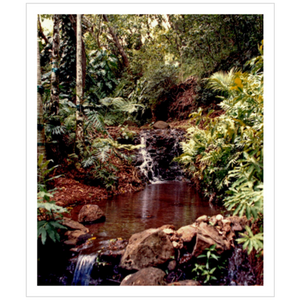 Allerton Garden I - Archival Canvas Paper