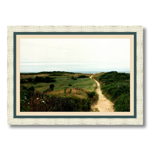 Wellfleet Seashore - Framed - Satin Luster Paper