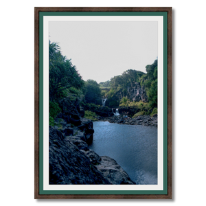 Maui Rainforest III - Framed - Archival Canvas Paper