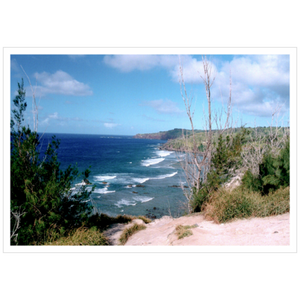 Maui Coast II - Archival Canvas Paper