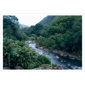 Maui Rainforest II - Metallic Paper