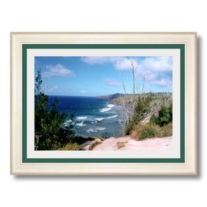 Maui Coast II - Framed - Archival Canvas Paper