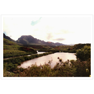 Allerton Garden II - Archival Canvas Paper