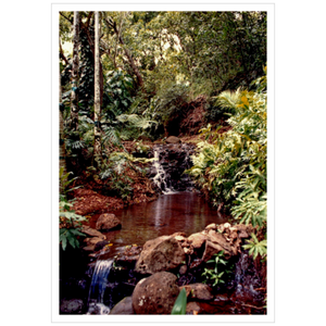 Allerton Garden I - Archival Canvas Paper