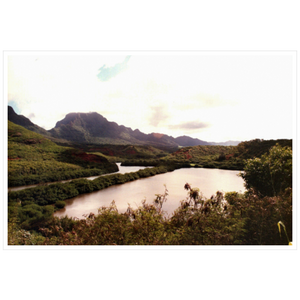 Allerton Garden II - Archival Canvas Paper