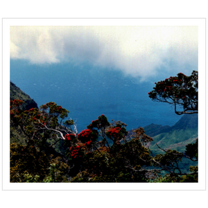 Hiking Waimea Canyon - Metallic Paper