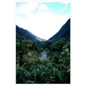 Maui Rainforest I - Metallic Paper