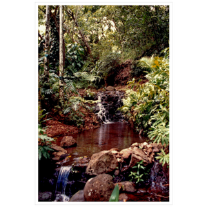 Allerton Garden I - Archival Canvas Paper