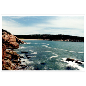 Walking Acadia II - Metallic Paper