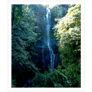Maui Waterfalls II - Archival Canvas Paper