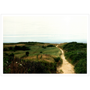 Wellfleet Seashore - Satin Luster Paper