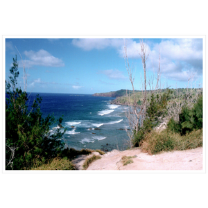 Maui Coast II - Archival Canvas Paper