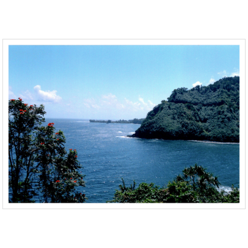 Maui Coast IV - Archival Canvas Paper