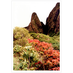 Iao Needle - Archival Canvas Paper