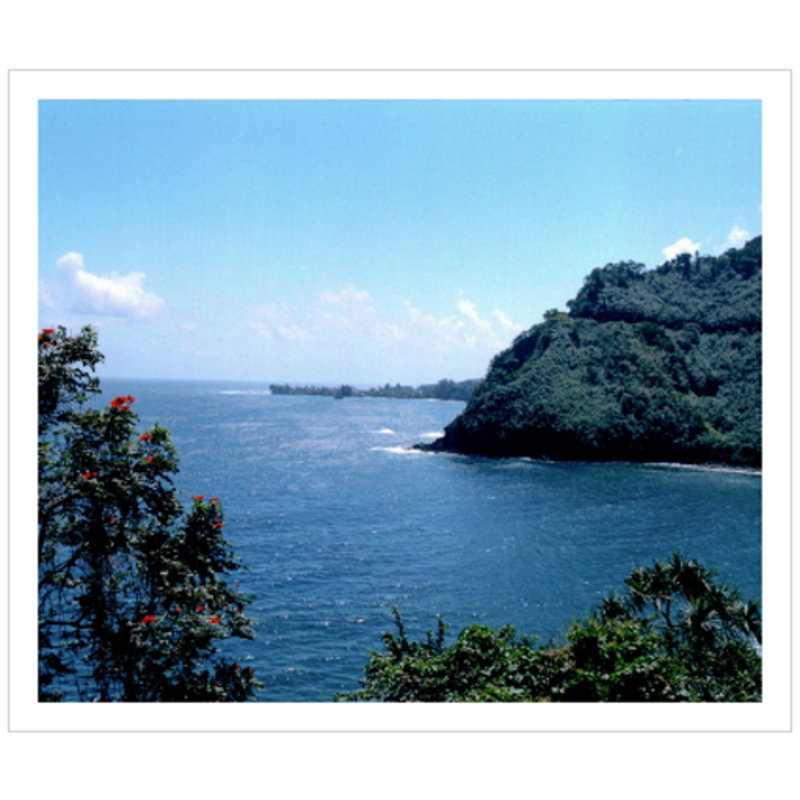 Maui Coast IV - Archival Canvas Paper