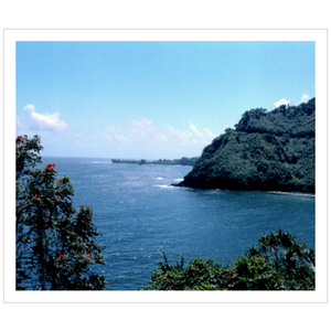 Maui Coast IV - Archival Canvas Paper