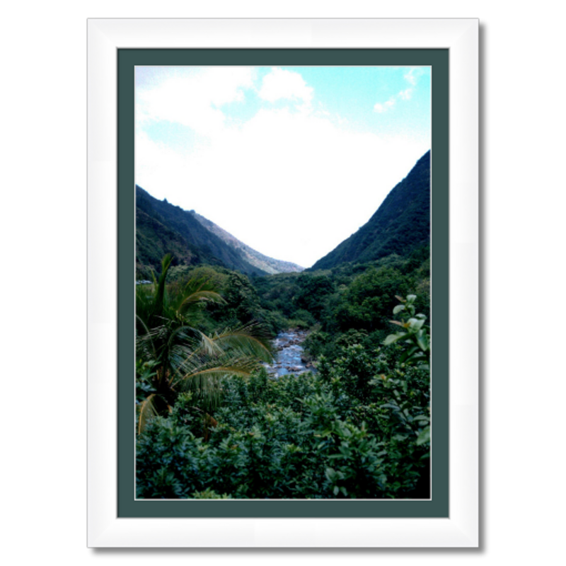 Maui Rainforest I - Framed - Hahnemühle Torchon Paper