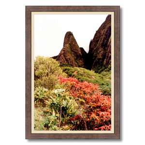 Iao Needle - Framed - Archival Canvas Paper