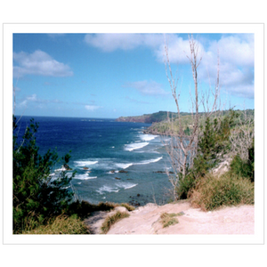 Maui Coast II - Archival Canvas Paper