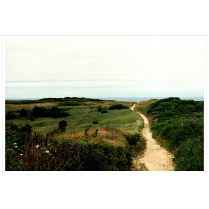 Wellfleet Seashore - Satin Luster Paper