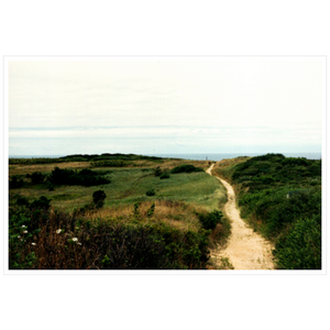 Wellfleet Seashore - Satin Luster Paper