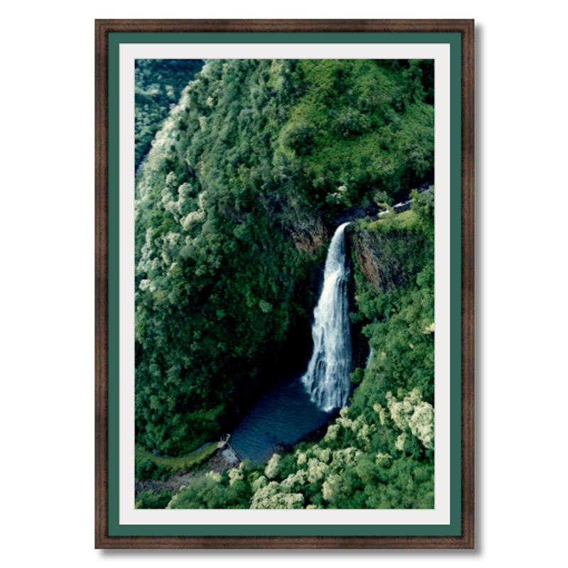 Flying the Nā Pali Coast II - Framed - Archival Canvas Paper