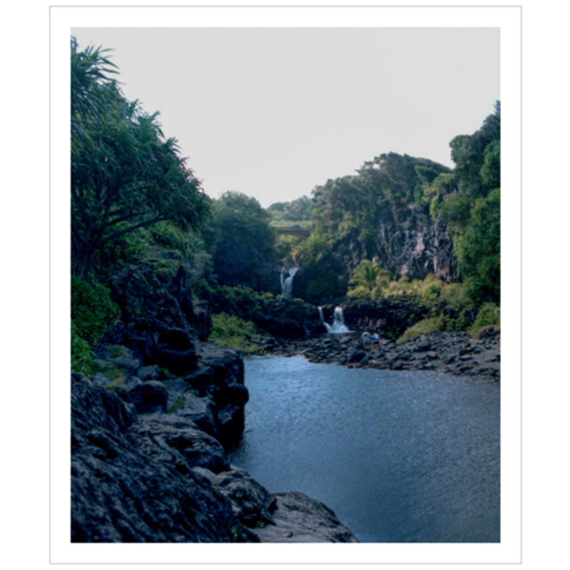 Maui Rainforest III - Archival Canvas Paper