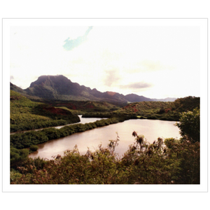 Allerton Garden II - Archival Canvas Paper