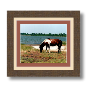 Assateague - Framed - Satin Luster Paper