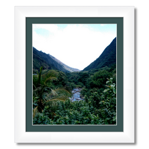 Maui Rainforest I - Framed - Metallic Paper