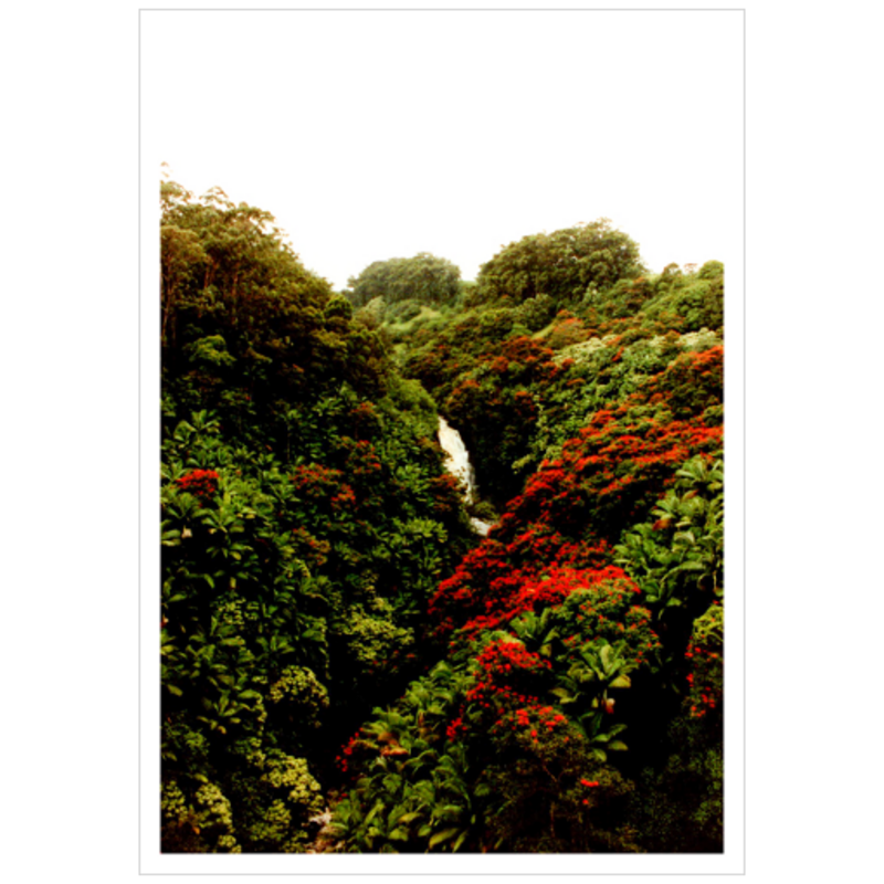 Maui Waterfalls III - Archival Canvas Paper
