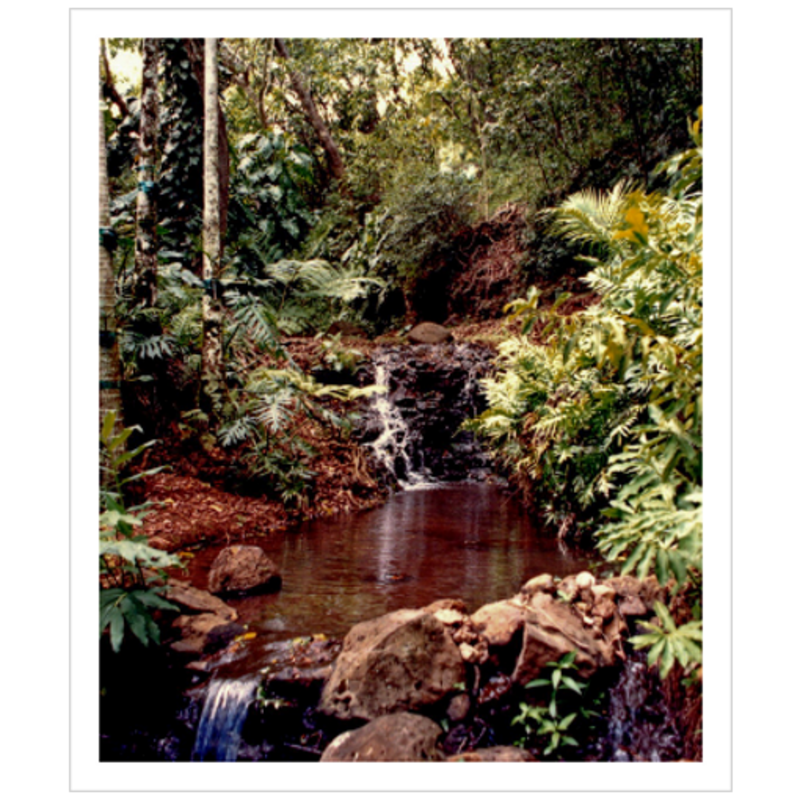 Allerton Garden I - Archival Canvas Paper