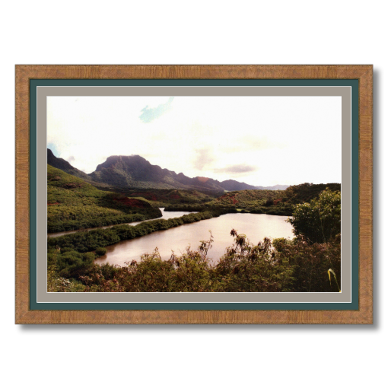 Allerton Garden II - Framed - Archival Canvas Paper