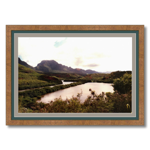 Allerton Garden II - Framed - Archival Canvas Paper