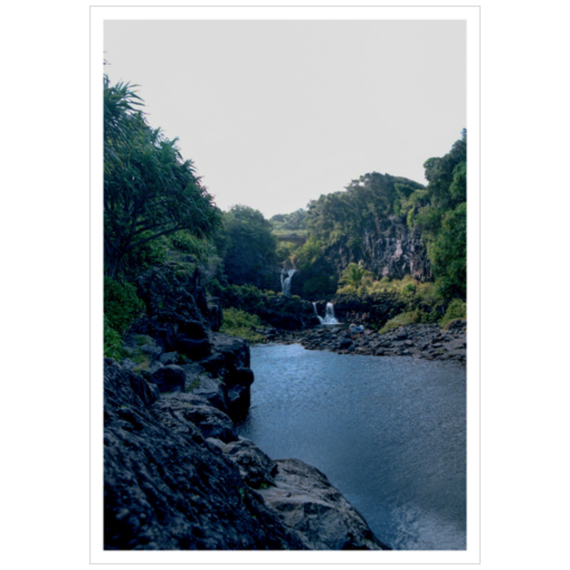 Maui Rainforest III - Archival Canvas Paper