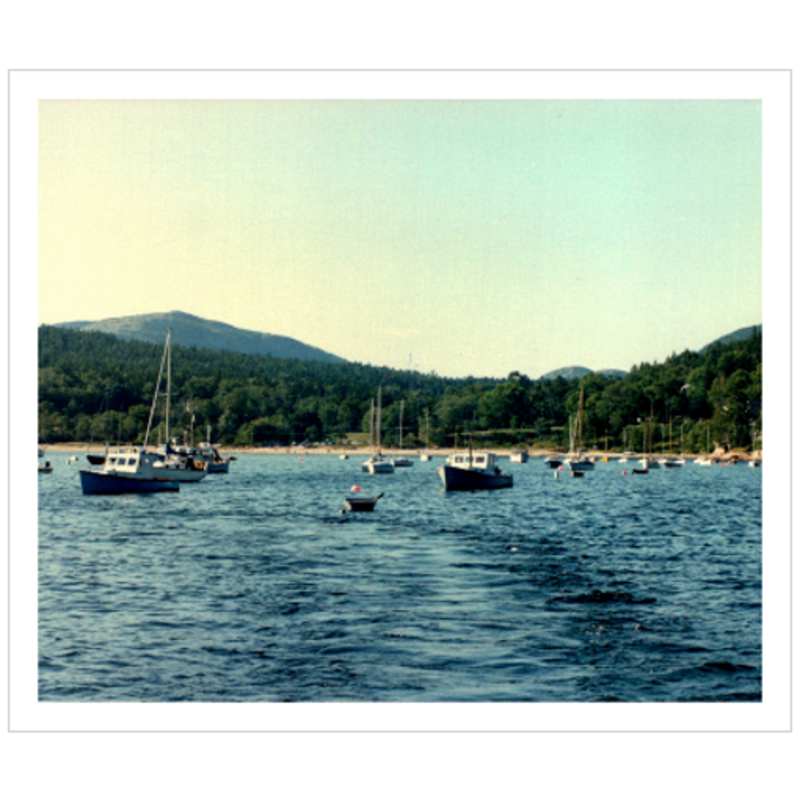 Sailing Seal Harbor - Premium Giclee Paper