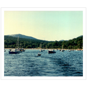 Sailing Seal Harbor - Premium Giclee Paper