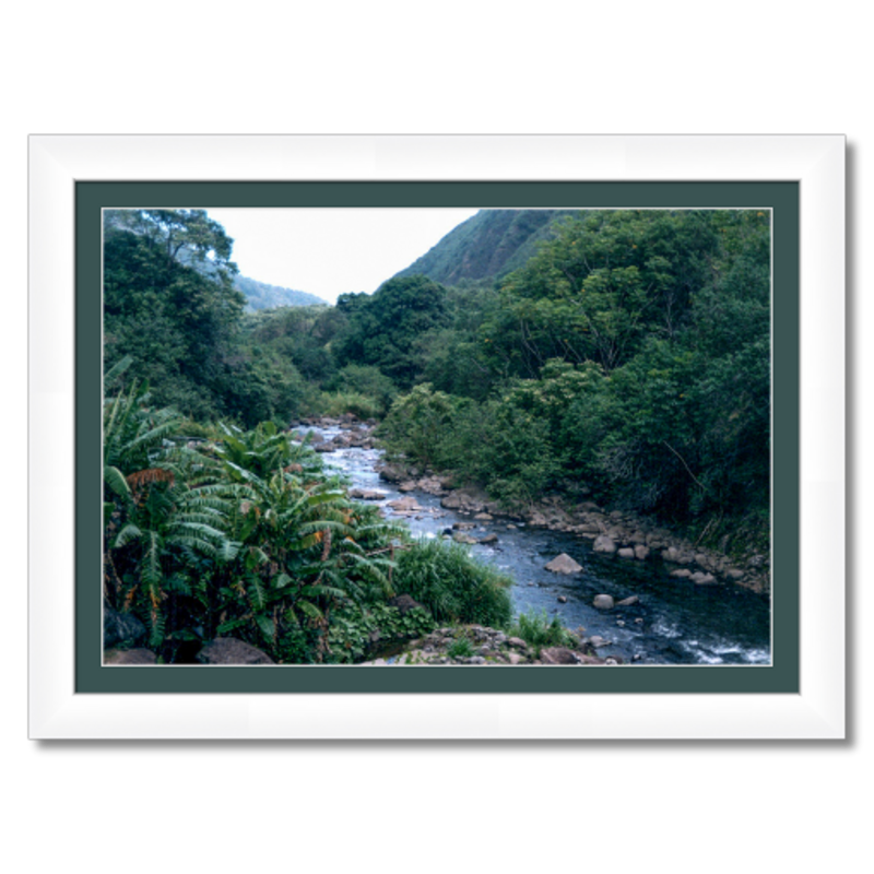 Maui Rainforest II - Framed - Metallic Paper