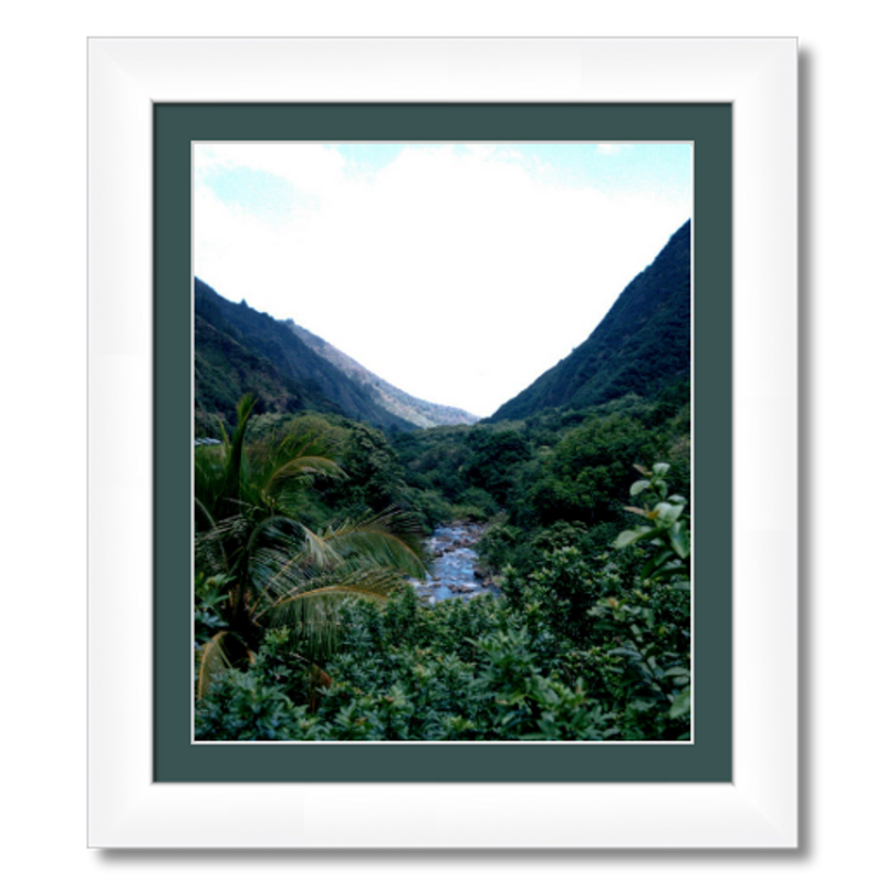 Maui Rainforest I - Framed - Hahnemühle Torchon Paper