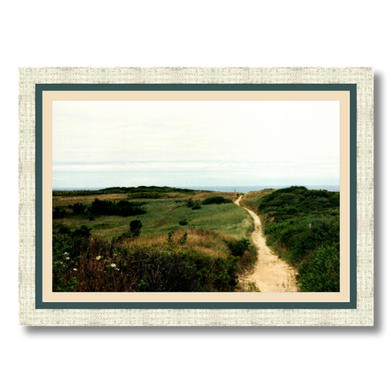 Wellfleet Seashore - Framed - Satin Luster Paper