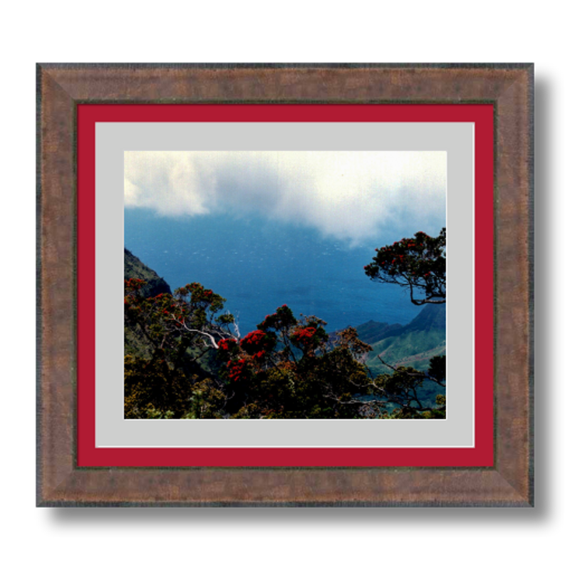 Hiking Waimea Canyon - Framed - Metallic Paper