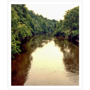 Bennington County II - Premium Giclee Paper