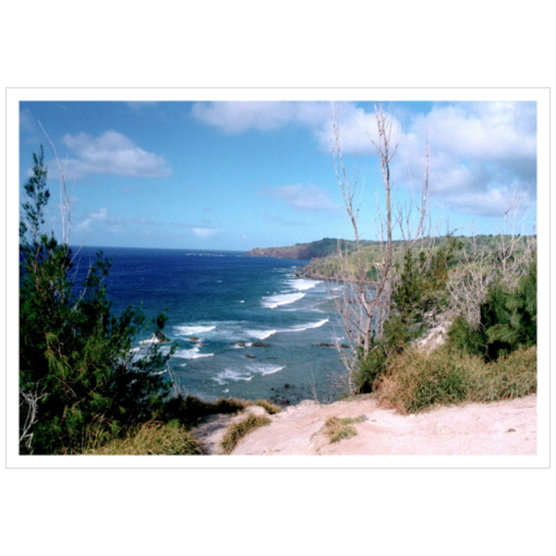 Maui Coast II - Archival Canvas Paper